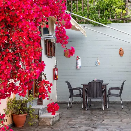 Apartment House Panorama Sea View *