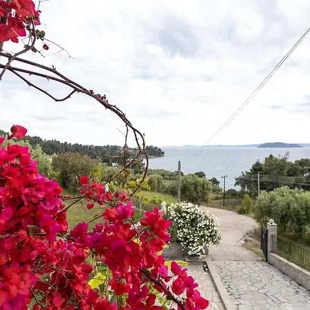 شقة House Panorama Sea View نيوس مارماراس