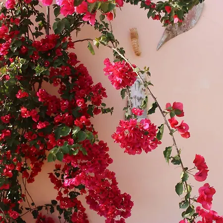 House Panorama Sea View Apartment *