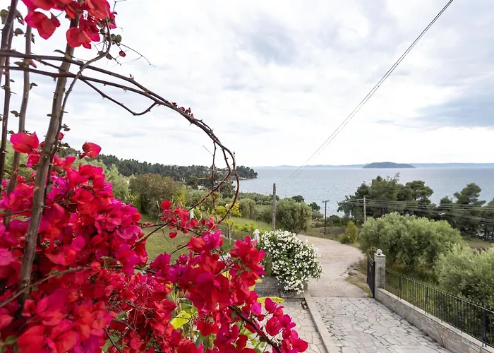 شقة House Panorama Sea View نيوس مارماراس